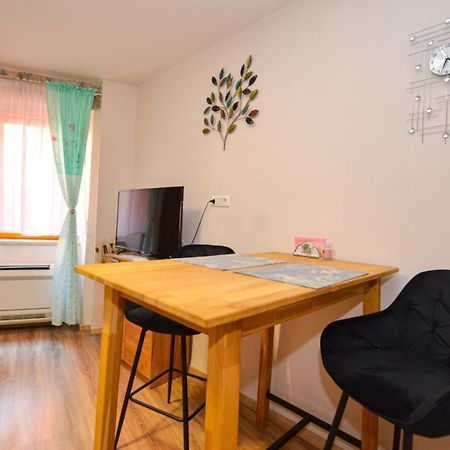 Klaudia Studio Rovigno Esterno foto